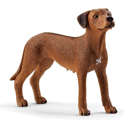 Фигурка Родезийский риджбек Schleich 13895 1